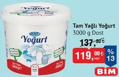 DOST TAM YAĞLI YOĞURT 3000 G